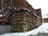 DSCN5587