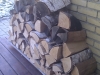 IMAG0046